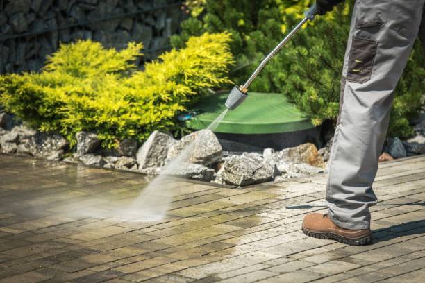 Best Dumpster Area Cleaning  in Maud, TX