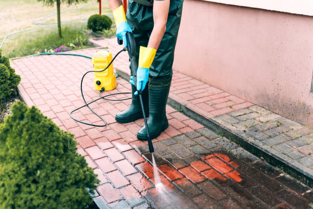 Best Solar Panel Cleaning  in Maud, TX